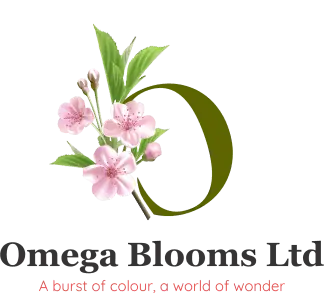 Omega Blooms Limited, Kenya